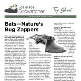 Bats — Natures Bug Zappers