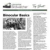 Binocular Basics