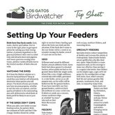Setting Up Your Feeders