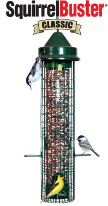 Squirrel Buster Classic