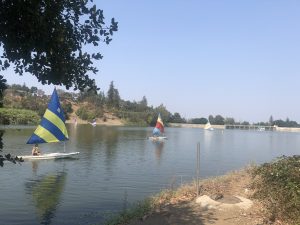 Vasona Lake in the Summer