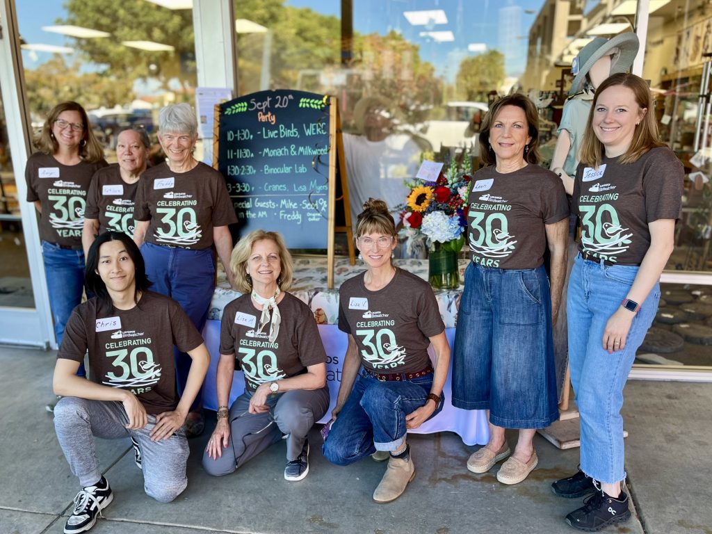 LGBWGroup30