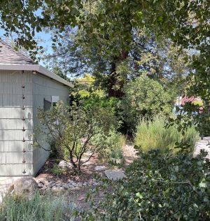 LMNativeYardBatBox LMNativeYardBatBox