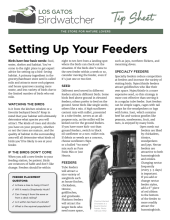 Setting Up Your Feeders