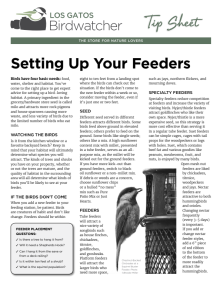Setting Up Your Feeders