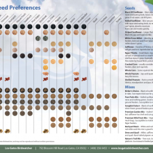 backyard-bird-seed-preferences-445x445