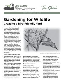 gardening_thumb