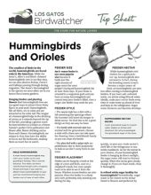 hummingbird-orioles_thumb